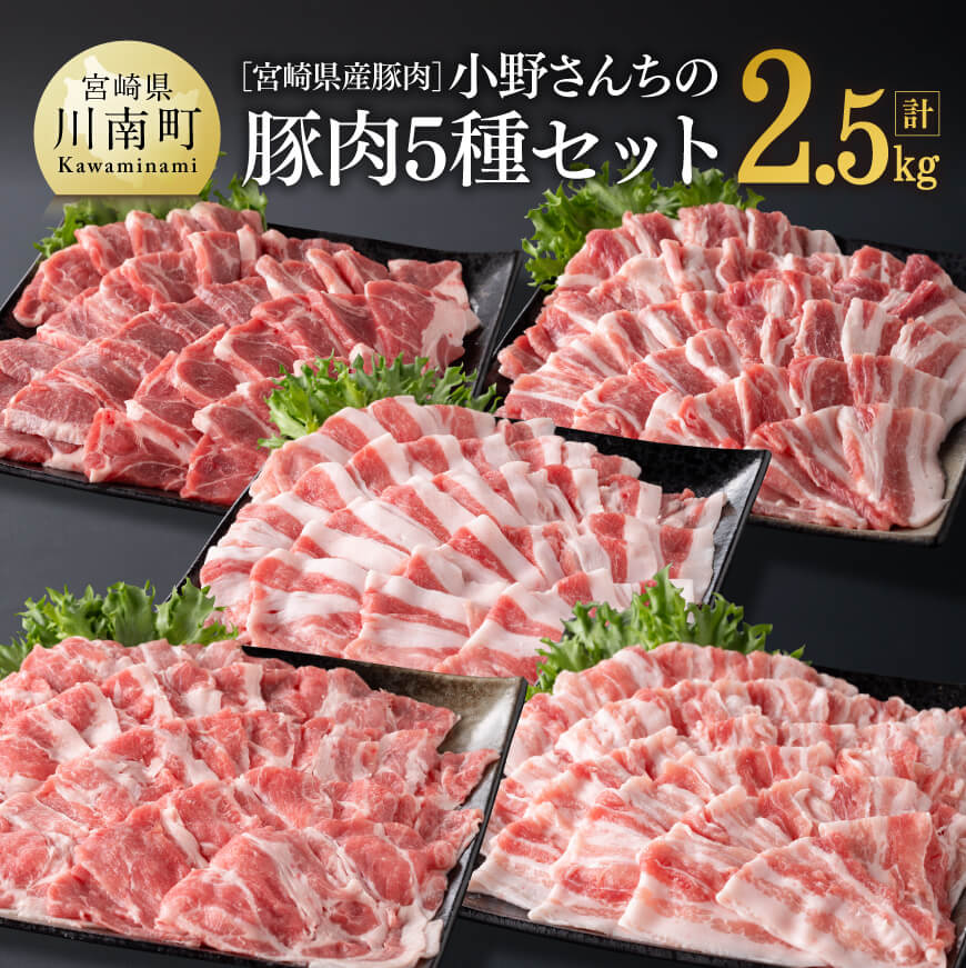 【ふるさと納税】※レビューキャンペーン※宮崎県産豚肉 小野さんちの