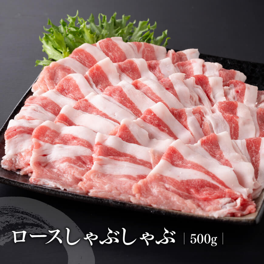 【ふるさと納税】※レビューキャンペーン※宮崎県産豚肉 小野さんちの