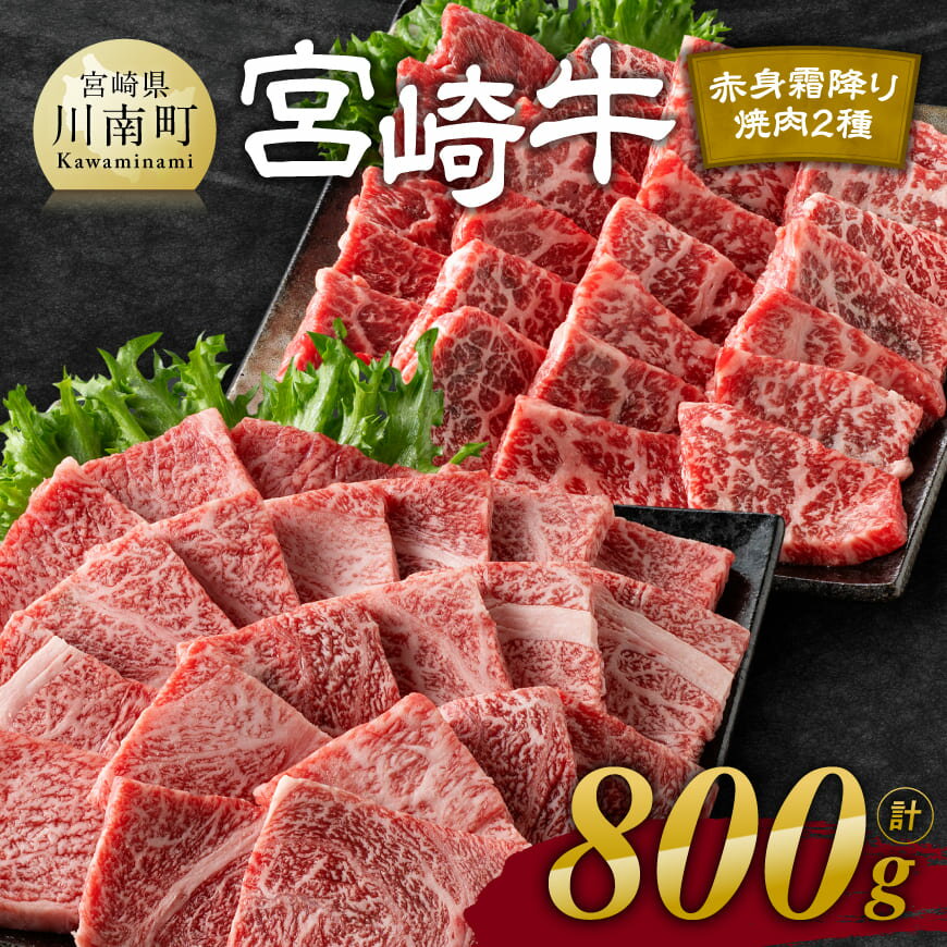 ※レビューキャンペーン※ 宮崎牛赤身霜降り焼肉2種 800g - 肉 牛肉 黒毛和牛 宮崎県産牛 九州産牛 国産牛 宮崎県産 九州産 国産 赤身 霜降り 焼肉 ウデ モモ 肩ロース 送料無料 E11124