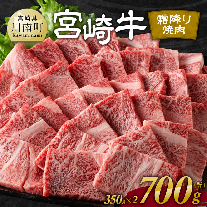 ڤդ뤵Ǽǡۢӥ塼ڡ󢨵ܺߤ 700g (350g2) -   µ ܺ긩 彣 񻺵 ...