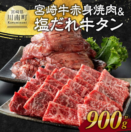 宮崎牛赤身焼肉＆塩だれ牛タン　計900g【 肉 牛肉 宮崎牛 タン たん 牛たん 味付き おかず 焼くだけ 簡単調理 】E11147