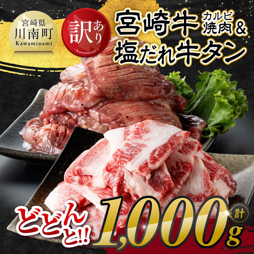 【ふるさと納税】【訳あり】 宮崎牛カルビ焼肉＆塩だれ牛タン　計1,000g【 肉 牛肉 宮崎牛 カルビ タン たん 牛たん 味付き おかず 焼くだけ 簡単調理 】E11148