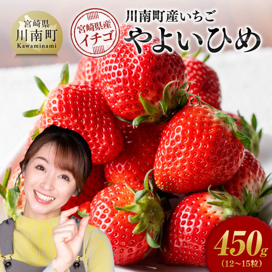 【ふるさと納税】川南町産 いちご「やよいひめ」450g - 期間限定 果物 イチゴ 苺 やよいひめ フルーツ D11201