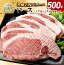 【ふるさと納税】宮崎ブランドポーク ローストンテキ・とんかつ用カット 500g ‐ 豚肉 豚 肉 国産 九州産 宮崎県産 川南町産 宮崎県産豚肉 ロースカツ ローススライス ロース セット とんかつ お手軽 真空パック 送料無料 E11301