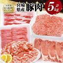 【ふるさと納税】※レビューキャンペーン※宮崎県産豚肉5種 5kg - 豚肉 ぶた肉 肉 ロース バラ 切り落とし ミンチ 豚肉セット C11629