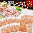 【ふるさと納税】宮崎県産若鶏 ハラミ3kg(300g×10) - 鶏肉 鶏 ハラミ 肉 宮崎県産 小分け パック 送料無料 C11605