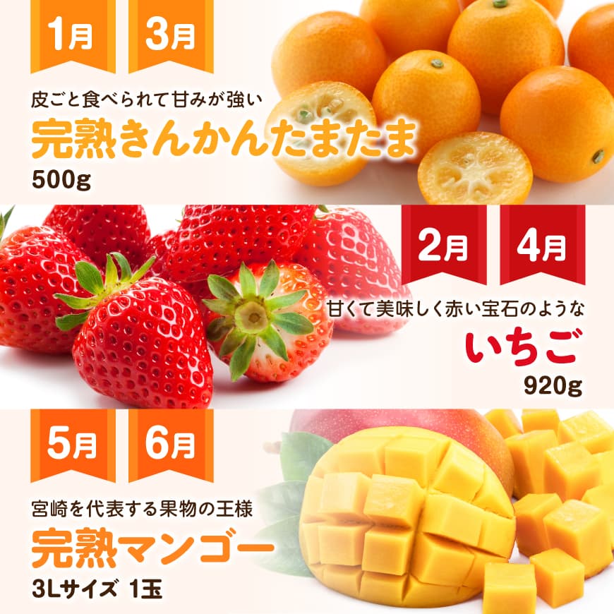【ふるさと納税】【 12ヶ月定期便 】 デラックス 定期便 - 川南町産 宮崎県産 フルーツ 全12回 毎月 お届け くだもの きんかん たまたま いちご 完熟 マンゴー ぶどう ピオーネ シャイン マスカット 大玉 メロン 差し入れ プレゼント お取り寄せ 季節の味覚 お祝い 送料無料 f454052-kawaminami-10002134 宮崎県川南町 サンプル画像3