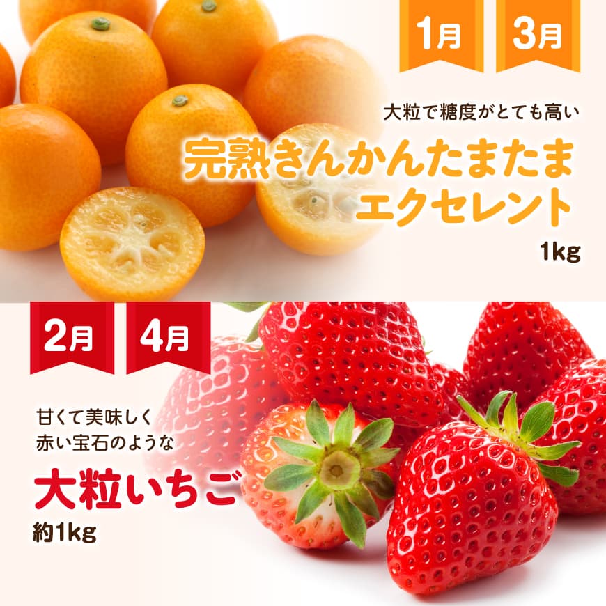 【ふるさと納税】【 12ヶ月定期便 】 超 プレミアム デラックス 定期便 - 川南町産...