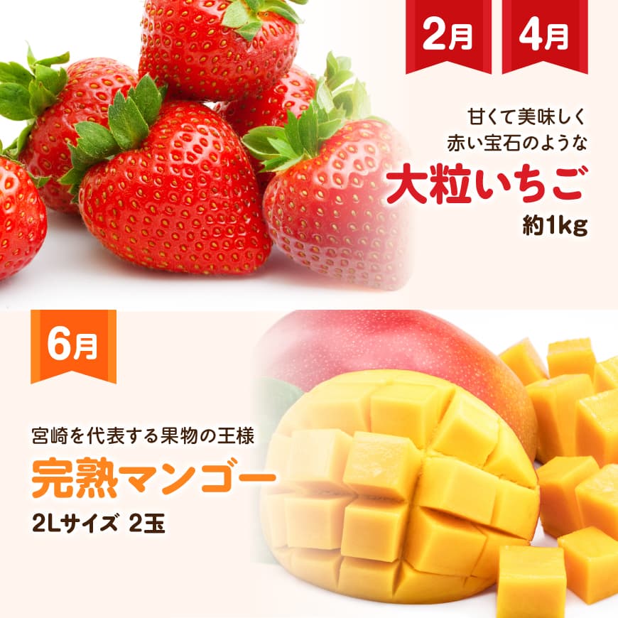 【ふるさと納税】【 全6回定期便 】 プレミアム デラックス 定期便 【偶数月】 - 川南町産 大粒 いちご 完熟 マンゴー 宮崎マンゴー ぶどう シャイン マスカット 大玉 メロン 差し入れ 贅沢 旬 果物 フルーツ イベント 父の日 母の日 敬老の日 ギフト お取り寄せ 送料無料 f454052-kawaminami-10002129 宮崎県川南町 サンプル画像3
