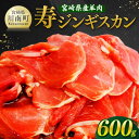 【ふるさと納税】 ※レビューキャンペーン※宮崎県産羊肉 寿ジンギスカン600g(300g×2) - 肉 羊肉 国産 九州産 川南町産 ジンギスカン 羊 ひつじ 味付き 焼肉 バーベキュー BBQ 宮崎県 川南町 送料無料 D11904