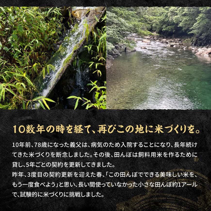 【ふるさと納税】※選べる内容量・発送回数※　宮崎県産　早期コシヒカリ（精米）3kg/5kg - 令和8年産　新米 米 お米 白米 精米 コシヒカリ 国産 九州産 宮崎県産 こしひかり 農家直送 産地直送 お取り寄せ おにぎり 2026 送料無料 宮崎県 川南町 定期便 f454052-kawaminami-10002461 宮崎県川南町 サンプル画像3