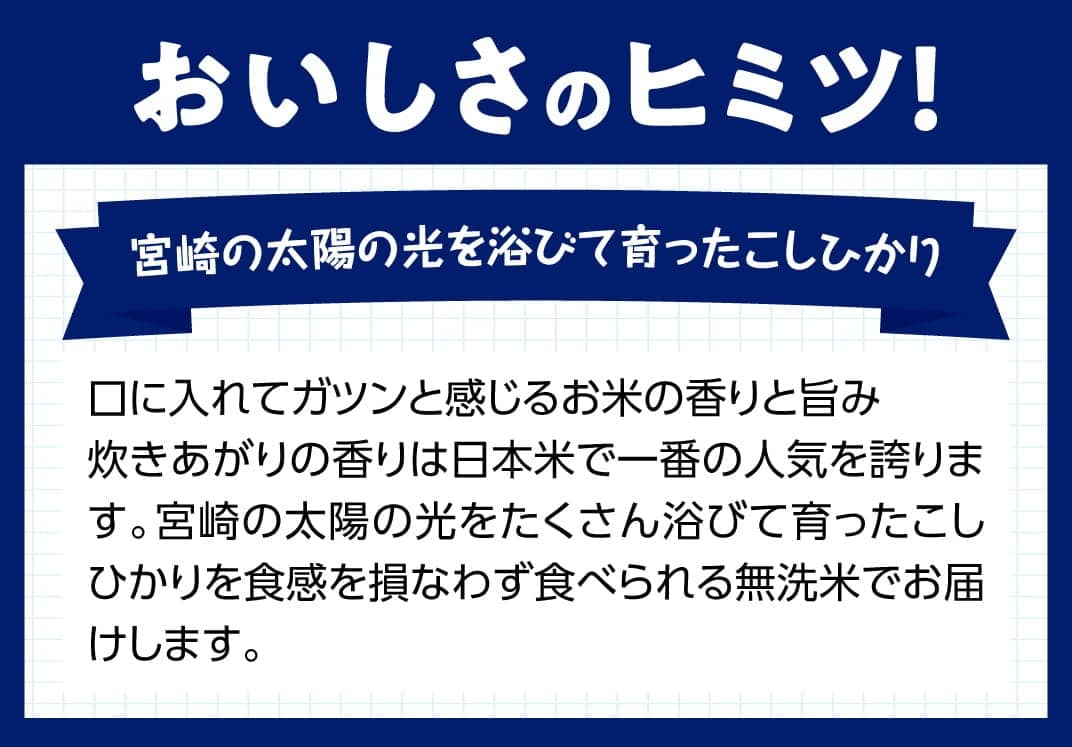 【ふるさと納税】※2018年11月28日より受付内容が変更※30年度産無洗米宮崎コシヒカリ10kg　人気の一品！