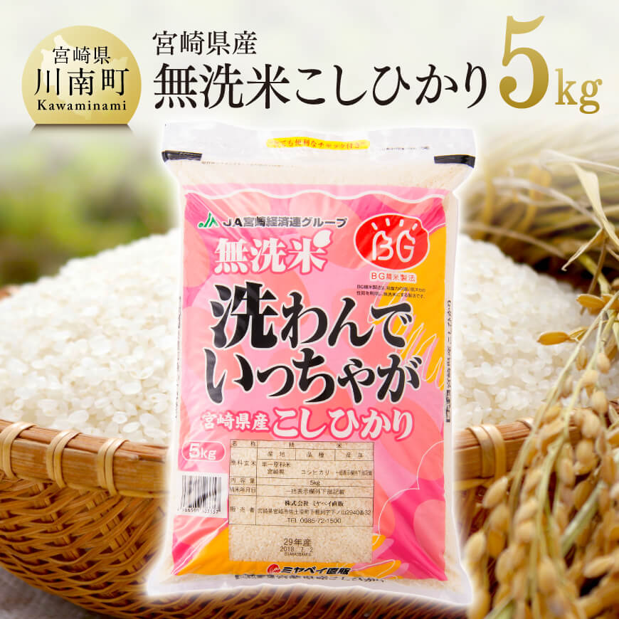 【ふるさと納税】 令和5年産早場米 無洗米 こしひかり 5kg 米 国産 九州産 宮崎県産 おにぎり おべんとう おかず 時短 送料無料 E1603