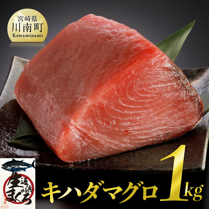 【ふるさと納税】 漁協直送!キハダマグロブロック(生)1kg ※冷蔵でお届け※ H170801