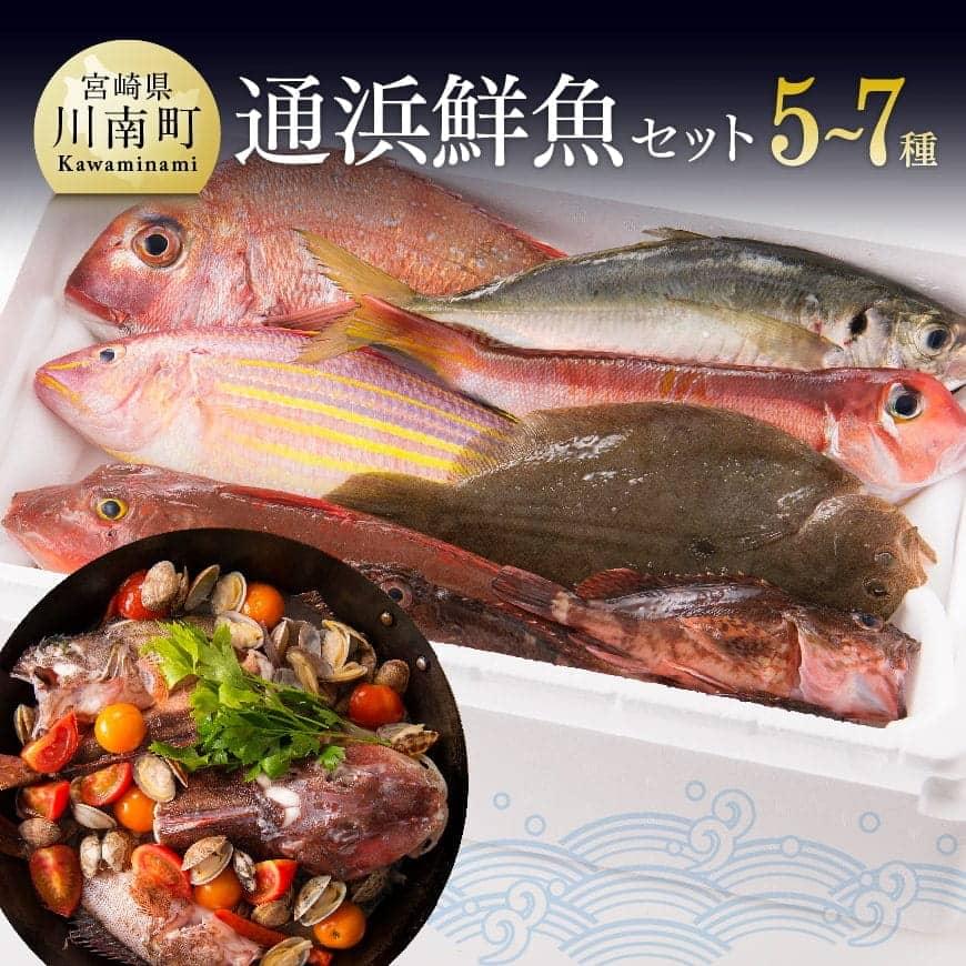 鮮度抜群!漁協直送!人気の通浜鮮魚セット