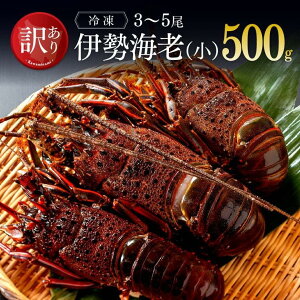 【ふるさと納税】※訳あり※冷凍 伊勢海老（小サイズ）500g（3～5尾）送料無料【先行予約・数量限定 伊勢えび イセエビ いせえび 味噌汁 みそ汁 ボイル 焼き 九州 宮崎 川南町】