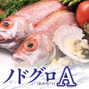 【ふるさと納税】最高級!人気の「のどぐろAセット」【数量限定...