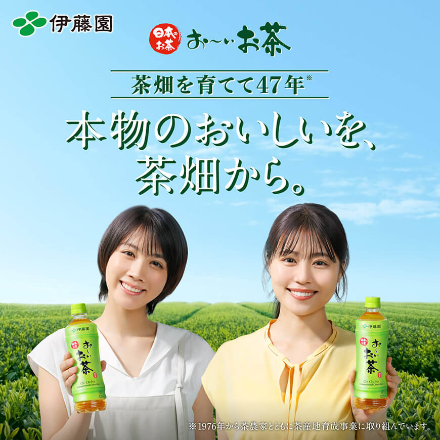 【ふるさと納税】※レビューキャンペーン※【3ヶ月定期便】伊藤園 おーいお茶 緑茶 600ml×24本 PET 送料無料 F7341t3 【お～いお茶 ペットボトル ソフトドリンク ケース セット 備蓄 長期保存 定期便 】宮崎県川南町