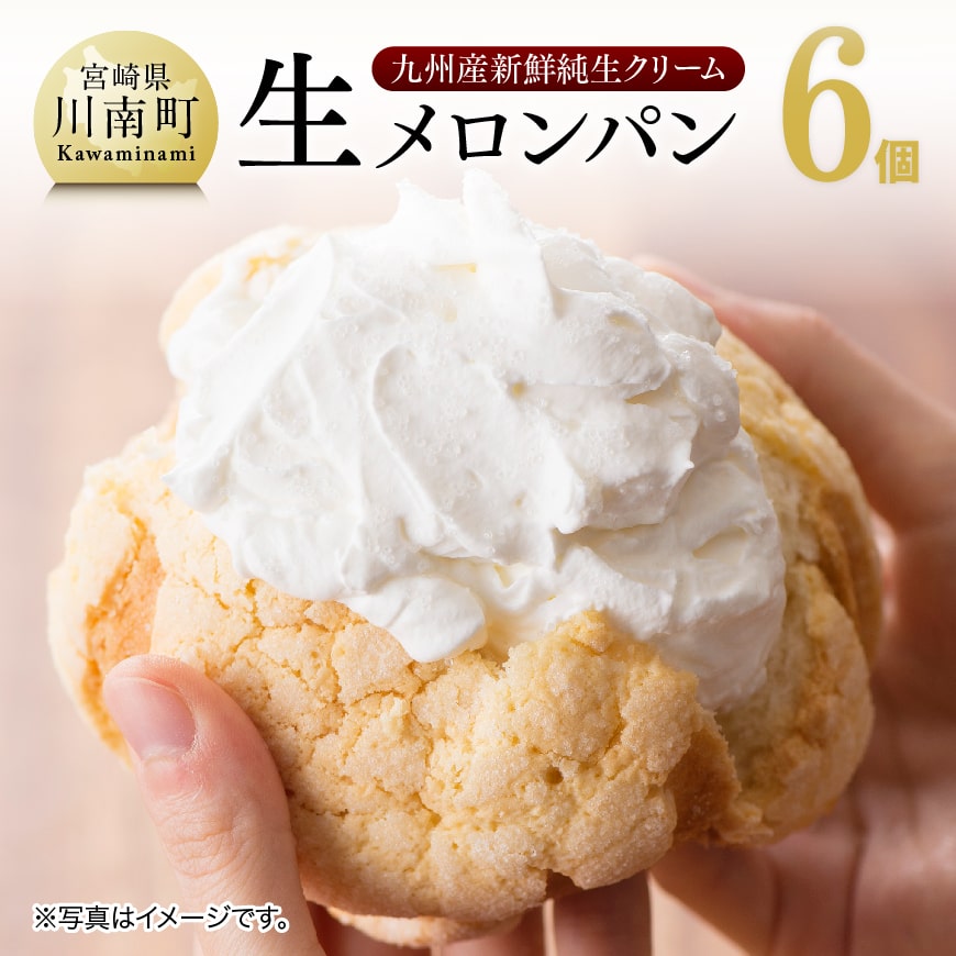 【ふるさと納税】『押川春月堂本店』生メロンパン6個【スイーツ おやつ パン 大人気 生クリーム 川南町】H2706