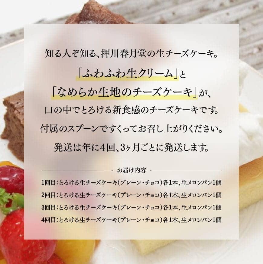 【ふるさと納税】※レビューキャンペーン※ 定期便 チーズ ケーキ 生クリーム メロンパン 送料無料 チーズケーキ セット 人気の新食感とろける生チーズケーキ（プレーン・チョコ）+メロンパン定期便4回コース G2702