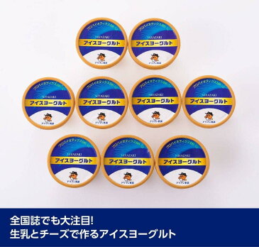 【ふるさと納税】初恋の味 アイスヨーグルトセット