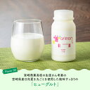 【ふるさと納税】 飲むヨーグルト セット 乳製品ドリンクタイプ 飲みきりサイズ ヒューグルト新鮮な生乳 濃い 低温殺菌 ちっちゃなセット おうち時間 お取り寄せ 九州 宮崎県 川南町 送料無料 E2902 3