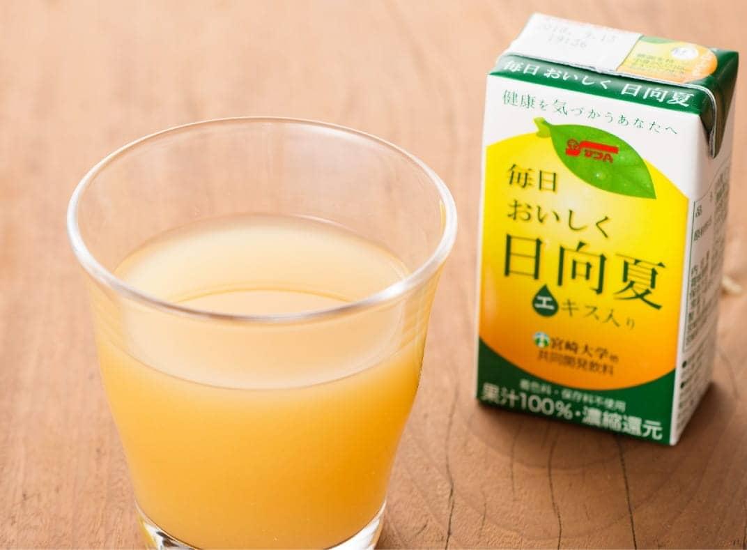 【ふるさと納税】サンA毎日おいしく日向夏100%　125ml×24本セットが大人気返礼品になっている理由とは　ふるさと納税　人気　返礼品　ランキング