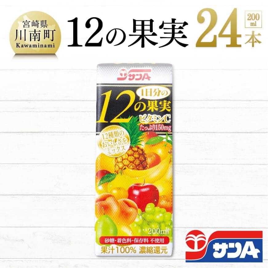 サンA1日分の12の果実[果汁飲料 果汁100% ジュース 砂糖不使用 保存料不使用 紙パック]F3024