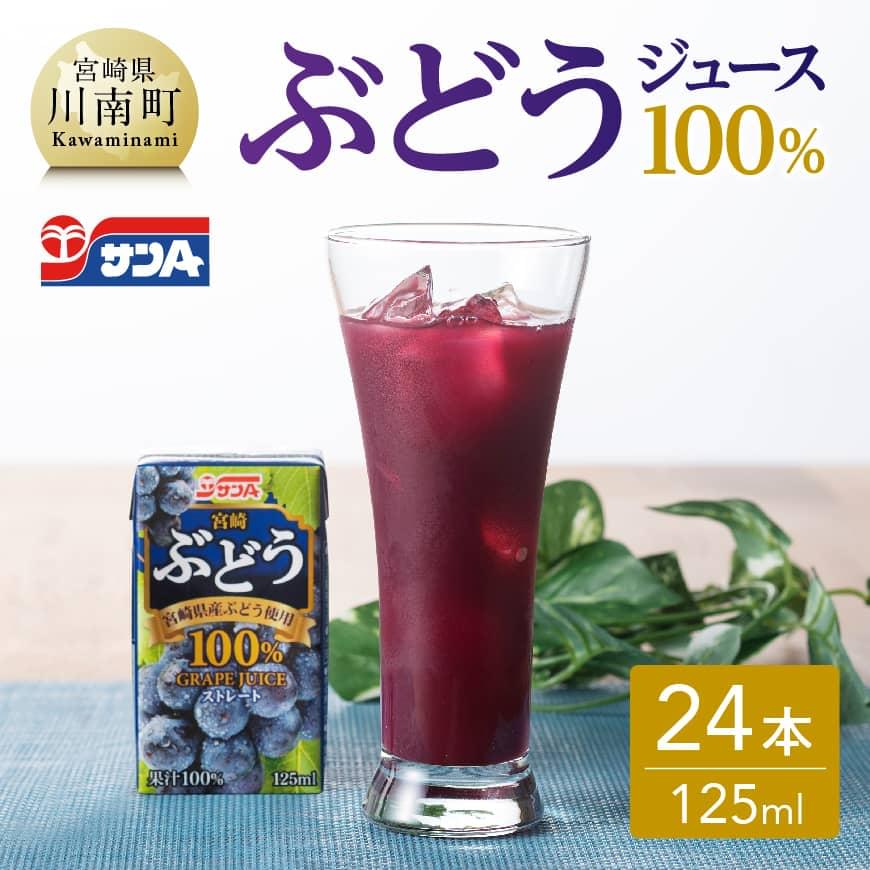 ※レビューキャンペーン※サンA ぶどう ジュース 100% 紙パック (125ml×24本) [飲料 ジュース ストレート グレープ ブドウジュース PET セット 着色料・保存料不使用 長期保存 備蓄 九州 宮崎県産 川南町 送料無料 E3004]