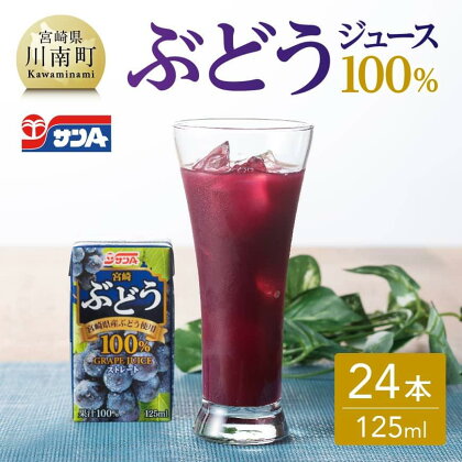 ※レビューキャンペーン※サンA ぶどう ジュース 100％ 紙パック (125ml×24本) 【飲料 ジュース ストレート グレープ ブドウジュース PET セット 着色料・保存料不使用 長期保存 備蓄 九州 宮崎県産 川南町 送料無料 E3004】