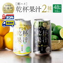 【ふるさと納税】【地域限定】 サンA酎ハイ「乾杯果汁」2種セット計48本【酒 お酒 チューハイ 日向夏(度数3%) へべす(度数5%) セット リキュール アル...