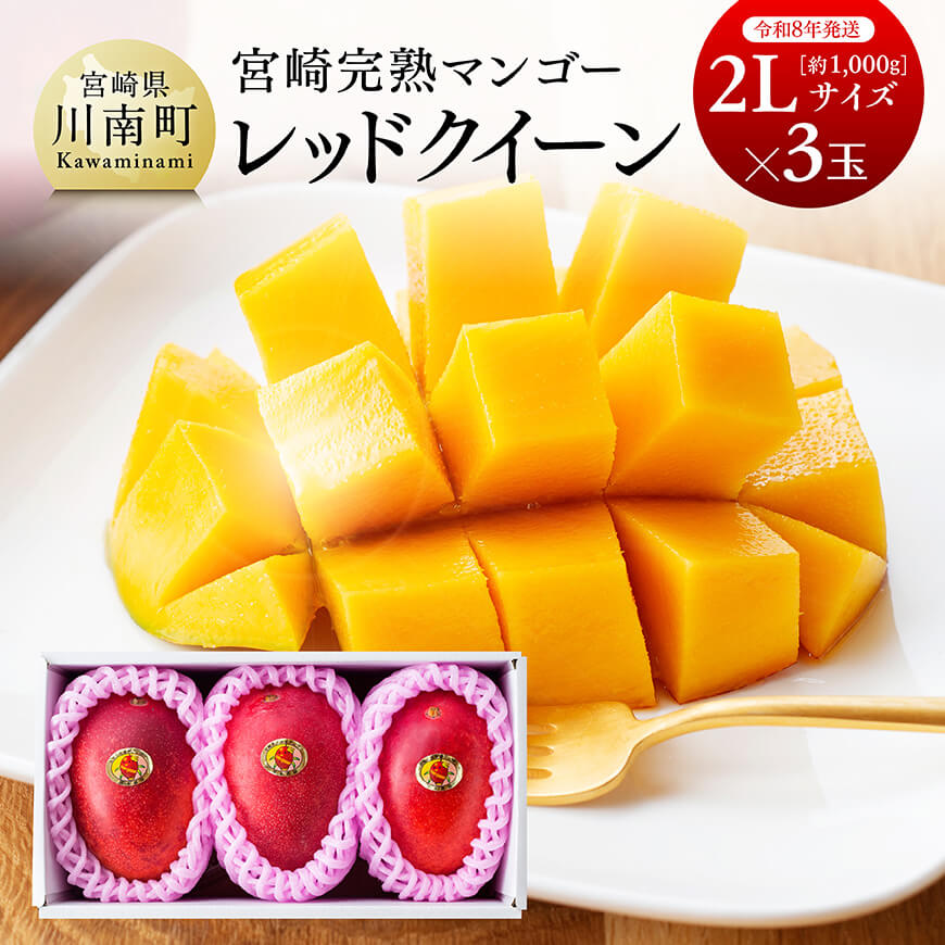 【ふるさと納税】※レビューキャンペーン※ 【令和8年発送】宮