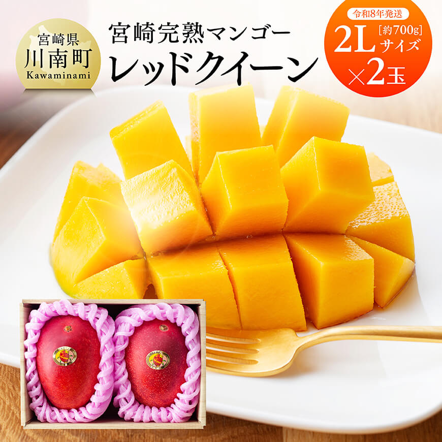 ※レビューキャンペーン※[令和8年発送]宮崎県産完熟マンゴー 「レッドクイーン」2L×2玉 - 先行予約 数量限定 期間限定果物 フルーツ マンゴー 宮崎県産 完熟マンゴー みやざきマンゴー