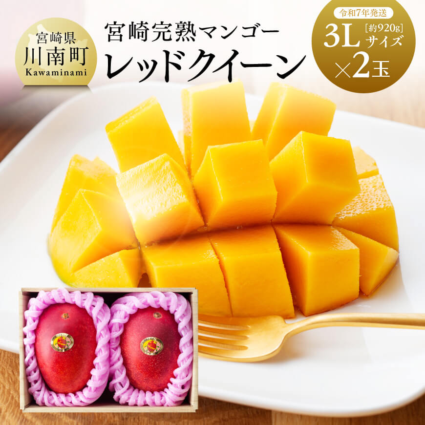 【ふるさと納税】 【令和7年発送】宮崎県産完熟マンゴー 「レッドクイーン」3L×2玉 - 【果物 フルーツ マンゴー 宮崎県産 完熟マンゴー みやざきマンゴー 先行予約 数量限定 期間限定】D03210