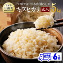 【ふるさと納税】【6ヶ月定期便】令和7年産 黒木農園のお米「キヌヒカリ(玄米)」 5kg - 米 お米 玄米 国産 九州産 宮崎県産 きぬひかり おにぎり 防災...
