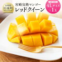 【ふるさと納税】 【令和7年発送】宮崎県産完熟マンゴー 「レッドクイーン」4L×1玉 - 果物 フルーツ マンゴー 宮崎県産 完熟マンゴー みやざきマンゴー 先...