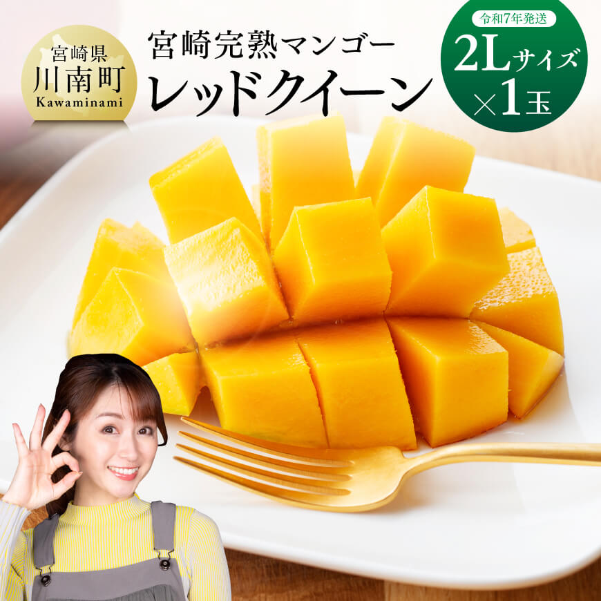 【ふるさと納税】【令和7年発送】宮崎県産完熟マンゴー 「レッドクイーン」2L×1玉 - 果物 フルーツ マンゴー 宮崎県産 完熟マンゴー みやざきマンゴー 先行予約 数量限定 期間限定 D03217