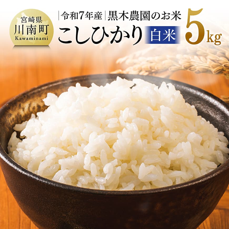 ※レビューキャンペーン※ [令和7年産]黒木農園のお米「こしひかり(白米)」5kg - 米 お米 白米 こしひかり 国産 九州産 宮崎県産 送料無料
