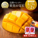 【ふるさと納税】 【令和7年発送】宮崎県産 完熟マンゴー 「果実の宝石」 L×2玉 - 果物 フルーツ マンゴー 宮崎県産 みやざきマンゴー 先行予約 数量限定...