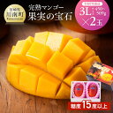 【ふるさと納税】※レビューキャンペーン※ 【令和7年発送】宮崎県産 完熟マンゴー 「果実の宝石」 3L×2玉 - 果物 フルーツ マンゴー 宮崎県産 みやざきマンゴー 先行予約 数量限定 期間限定 D03704