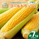【ふるさと納税】【令和7年発送】宮崎県産とうもろこし 小さめサイズのスイートコーン「ゴールドラッシュ」7kg以上(20本以上) - トウモロコシ スイートコーン...