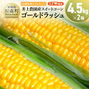 【ふるさと納税】 【令和7年発送】宮崎県産とうもろこし 井上農園産スイートコーン「ゴールドラッシュ」4.5kg×2 - トウモロコシ スイートコーン とうきび ...