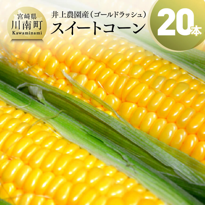 【ふるさと納税】 ◆数量限定◆ 先行予約受付開始【令和6年発送】 宮崎県産とうもろこし 井上農園産スイートコーン(ゴールドラッシュ)20本 - とうもろこし 先行予約 数量限定 期間限定 新鮮 九州産 宮崎県産 川南町産 送料無料 E3904