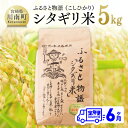 【ふるさと納税】【6ヶ月定期便】【令和7年産】宮崎県産こしひかり「シタギリ米」5kg - お米 新米 こしひかり 定期便 全6回 防災 備蓄 非常用 宮崎県 川...