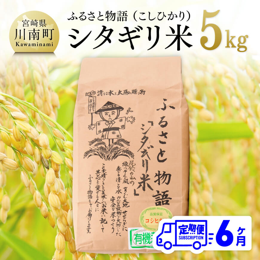 ※レビューキャンペーン※[6ヶ月定期便]宮崎県産こしひかり「シキタギリ米」 5kg[ お米 新米 2023年産 定期便 全6回 送料無料 ] E4201t6