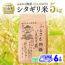 人気ランキング第16位「宮崎県川南町」口コミ数「0件」評価「0」【6ヶ月定期便】宮崎県産こしひかり「シキタギリ米」 5kg【 お米 新米 2023年産 定期便 全6回 送料無料 】 E4201t6