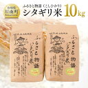 【ふるさと納税】※レビューキャンペーン※ 【令和5年産】宮崎県産こしひかり「シタギリ米」10kg【米 お米 白米 精米 国産 宮崎県産 こしひかり おにぎり】 E4202