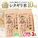 【ふるさと納税】※レビューキャンペーン※ 【3ヶ月定期便】宮崎県産こしひかり「シタギリ米」10kg【 お米 新米 2023年産 定期便 全3回 】 E4202t3