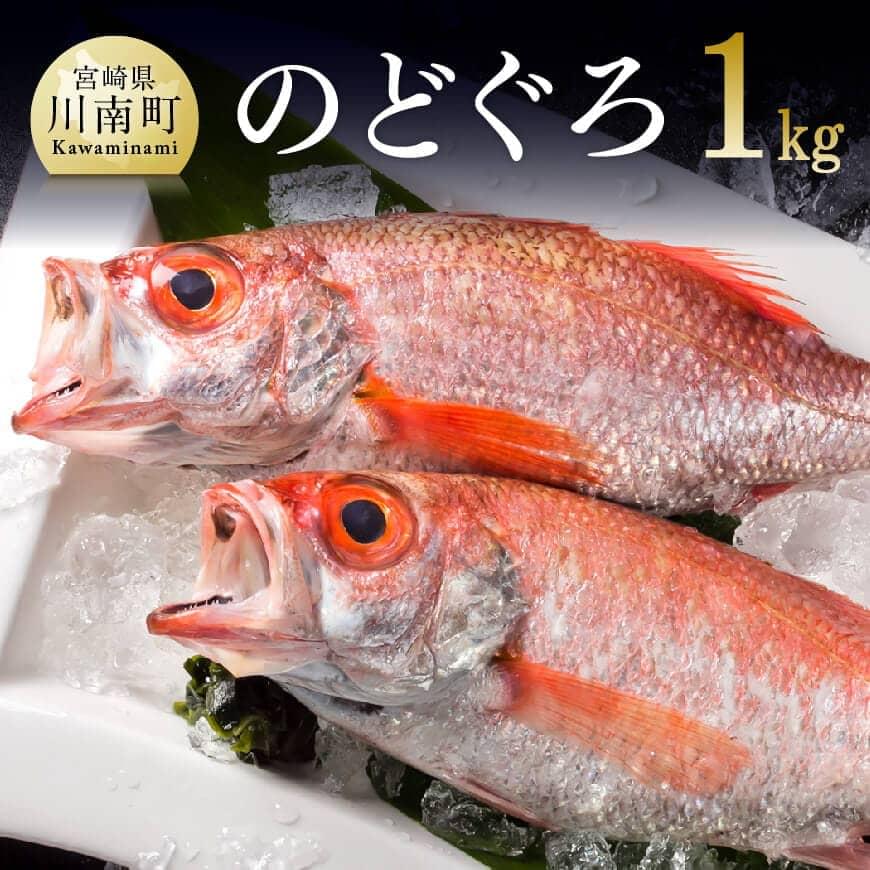 【ふるさと納税】 川谷水産厳選！ のどぐろ ( アカムツ )約1kg 送料無料 鮮魚 のどぐろ あかむつ G4401-1