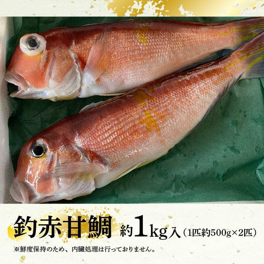 【ふるさと納税】釣赤甘鯛 A 宮崎県産 日向灘 アマダイ 送料無料 G4405